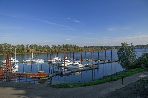 A marina with boats docked in the water.