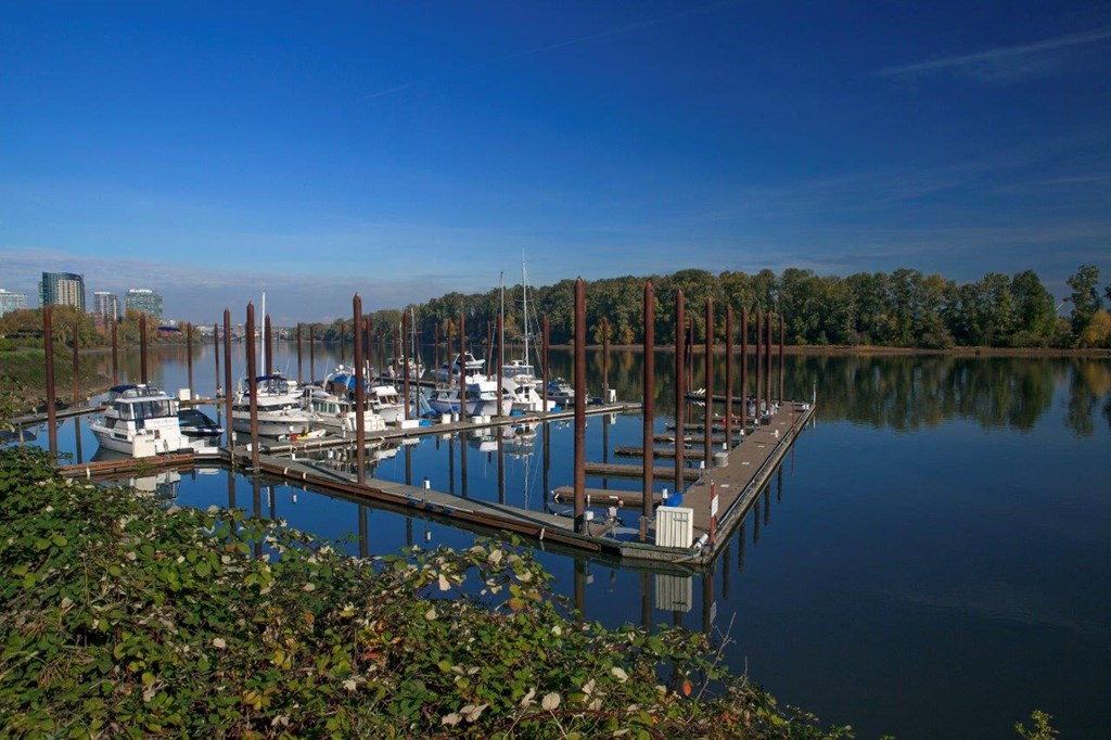 Boathouse Apartments Marina and Waterfront View
