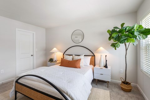 A bedroom with a large bed and a potted plant.