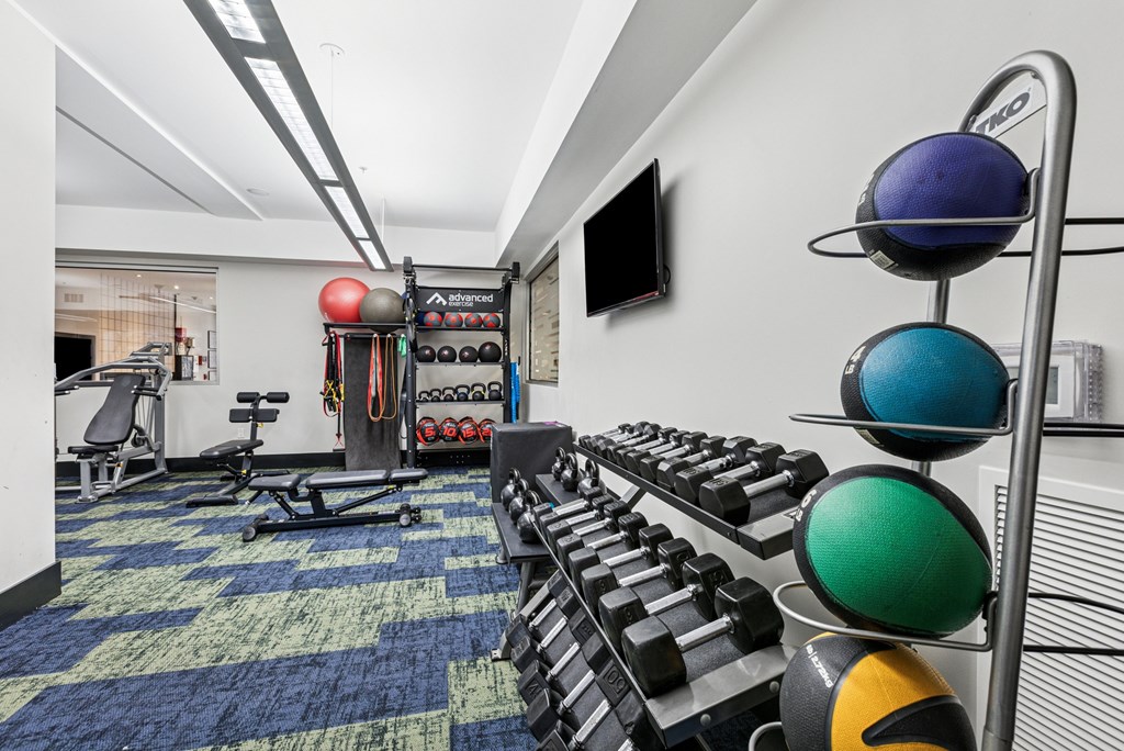 A gym with a row of dumbbells and a row of exercise balls.