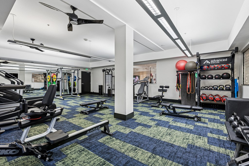 A gym with a variety of equipment including treadmills, weights, and a rowing machine.