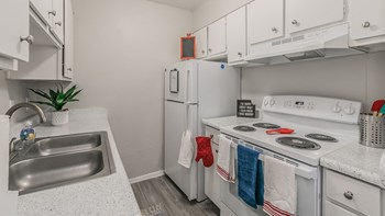 Anderson Model - Photo Gallery 2