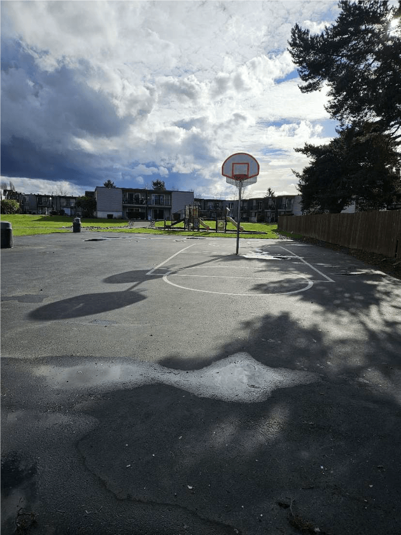 Ventana Apartment basketball court
