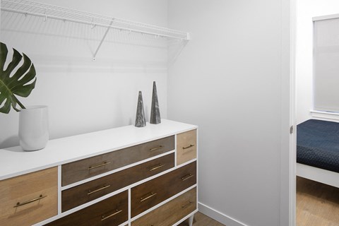 bedroom closet