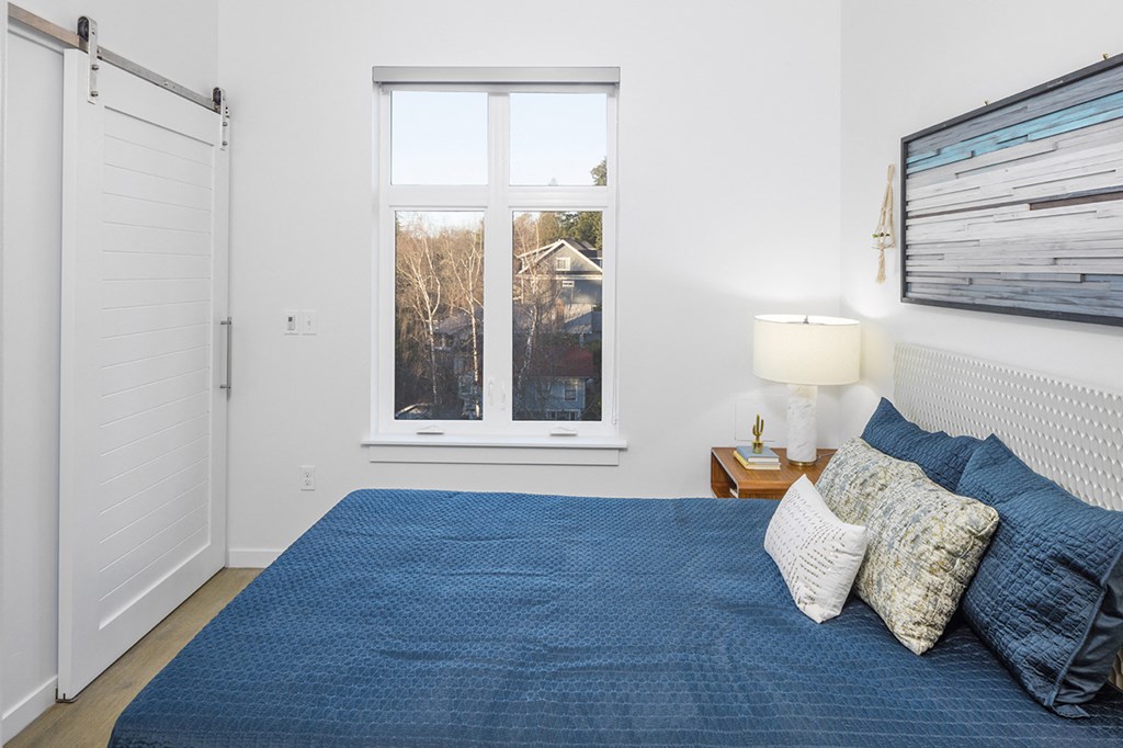 bedroom with barn door
