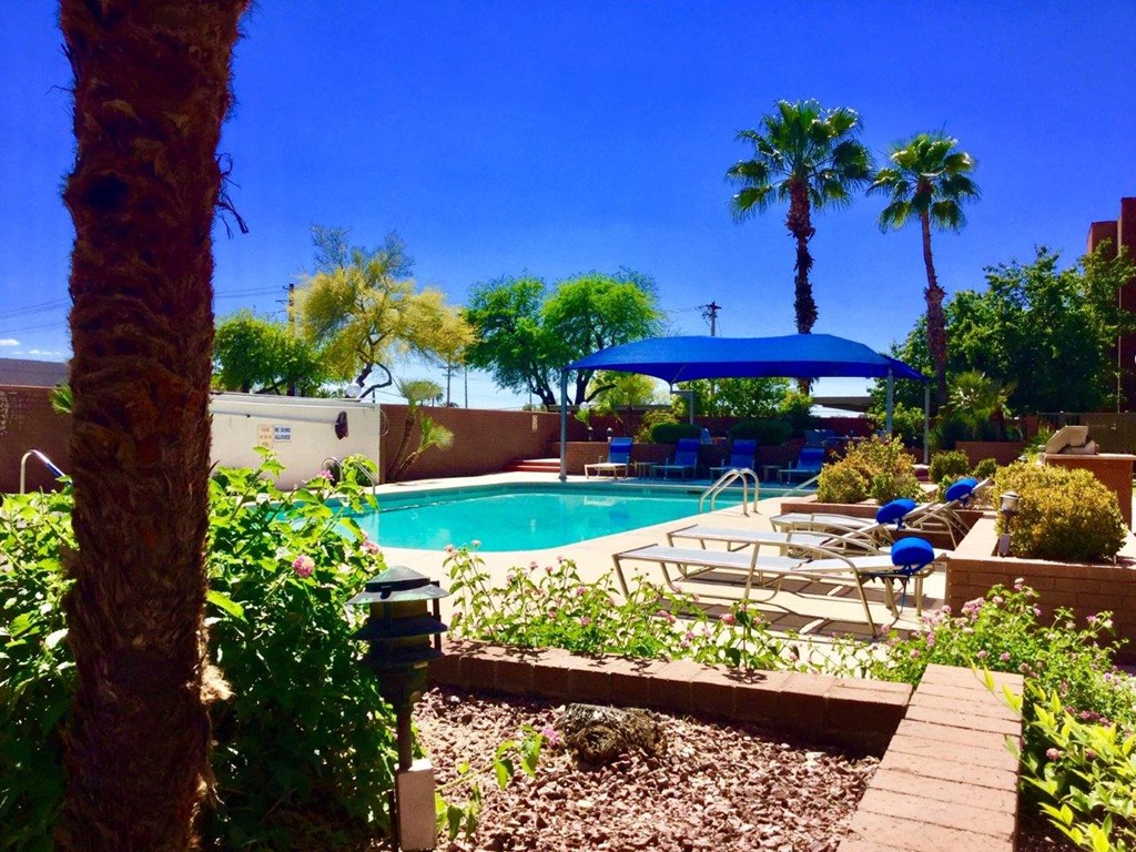 A pool surrounded by a blue canopy and a wooden deck.