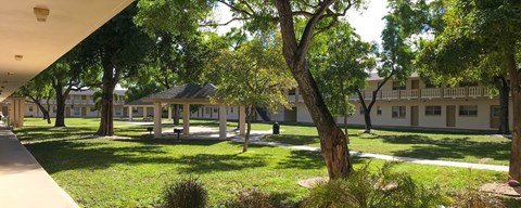 A tree-lined walkway leads to a building with a covered patio.