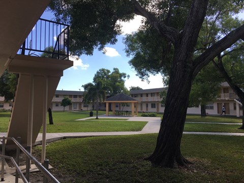 A tree in a grassy area in front of a building.