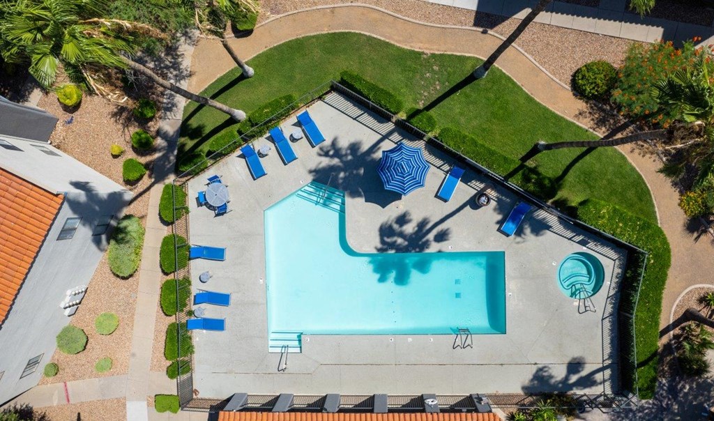 A swimming pool surrounded by blue lounge chairs and palm trees.