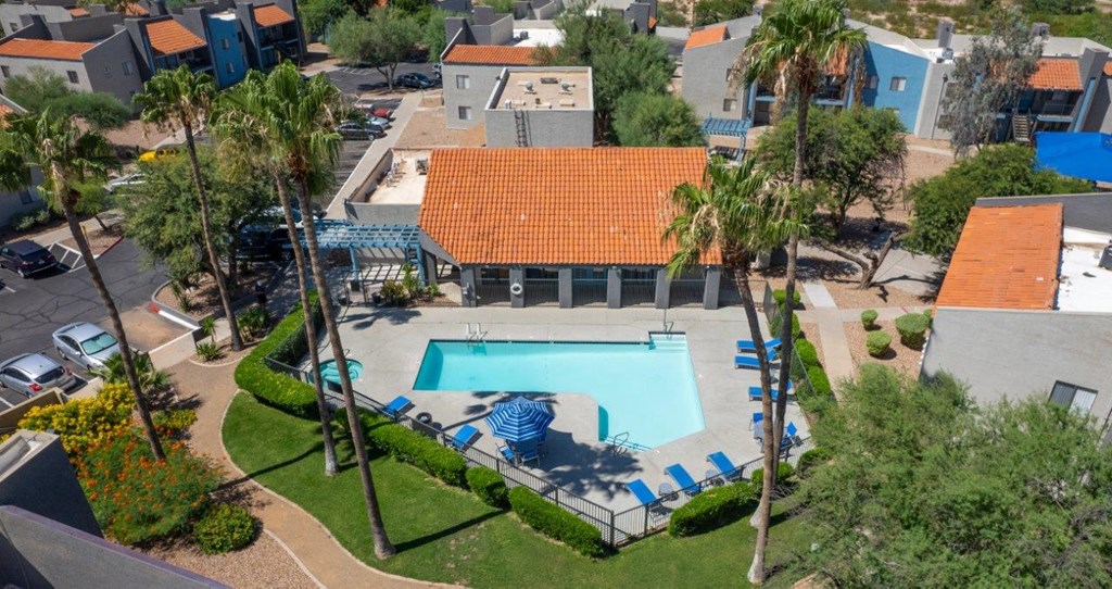 A swimming pool surrounded by palm trees and blue lounge chairs.