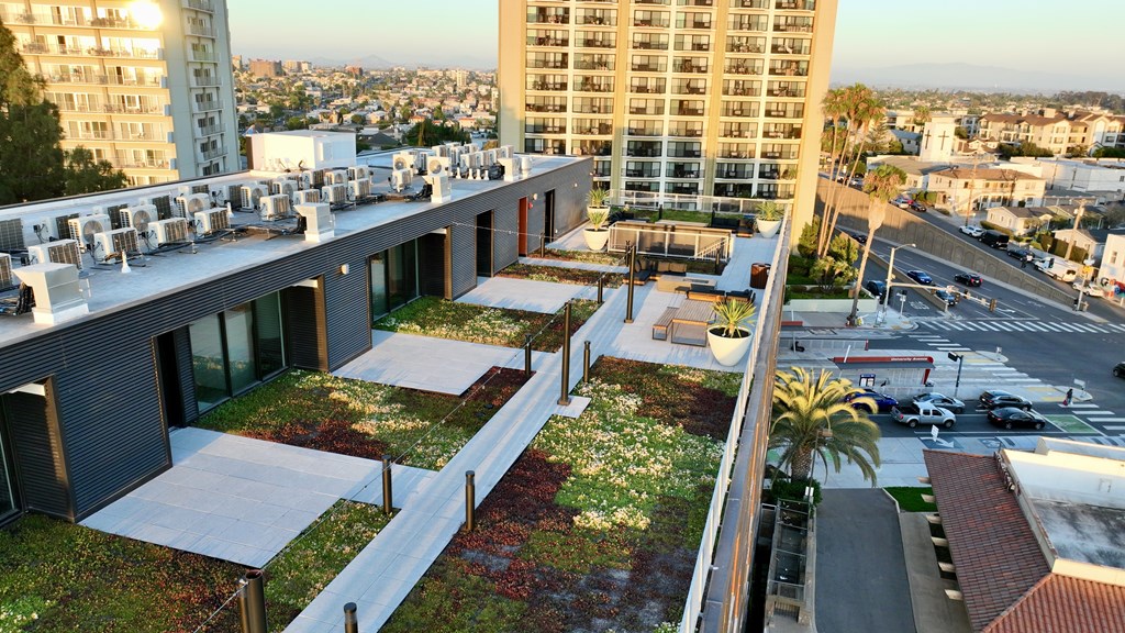 OnyxOnPark_SanDiego_CA_green roof