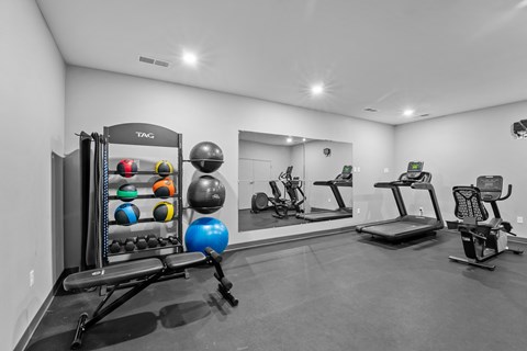 A gym with a variety of equipment including a treadmill, a stationary bike, and a weight rack with multiple balls.