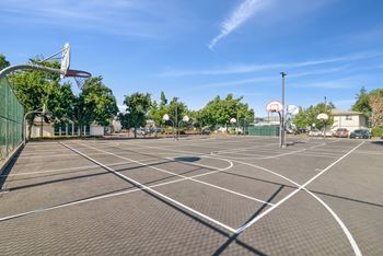 A basketball court with a net and hoop on the left side.