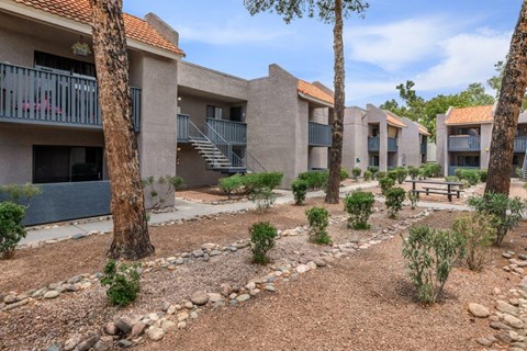 A courtyard with trees and a bench in front of apartment buildings.