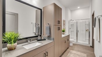 A bathroom with a sink, mirror, and a plant.
