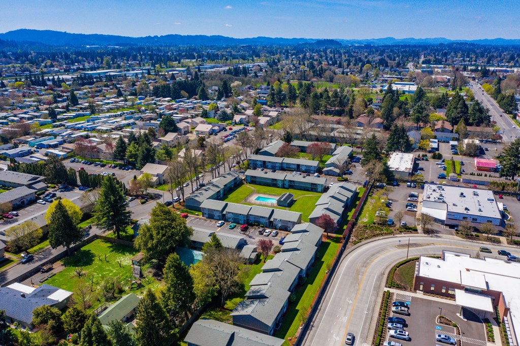 arial view of a neighborhood with houses and trees