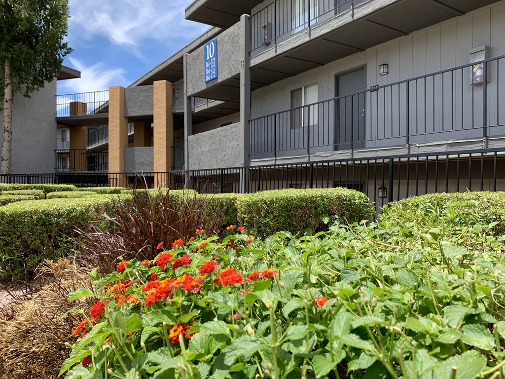an exterior view of a building with bushes and flowers