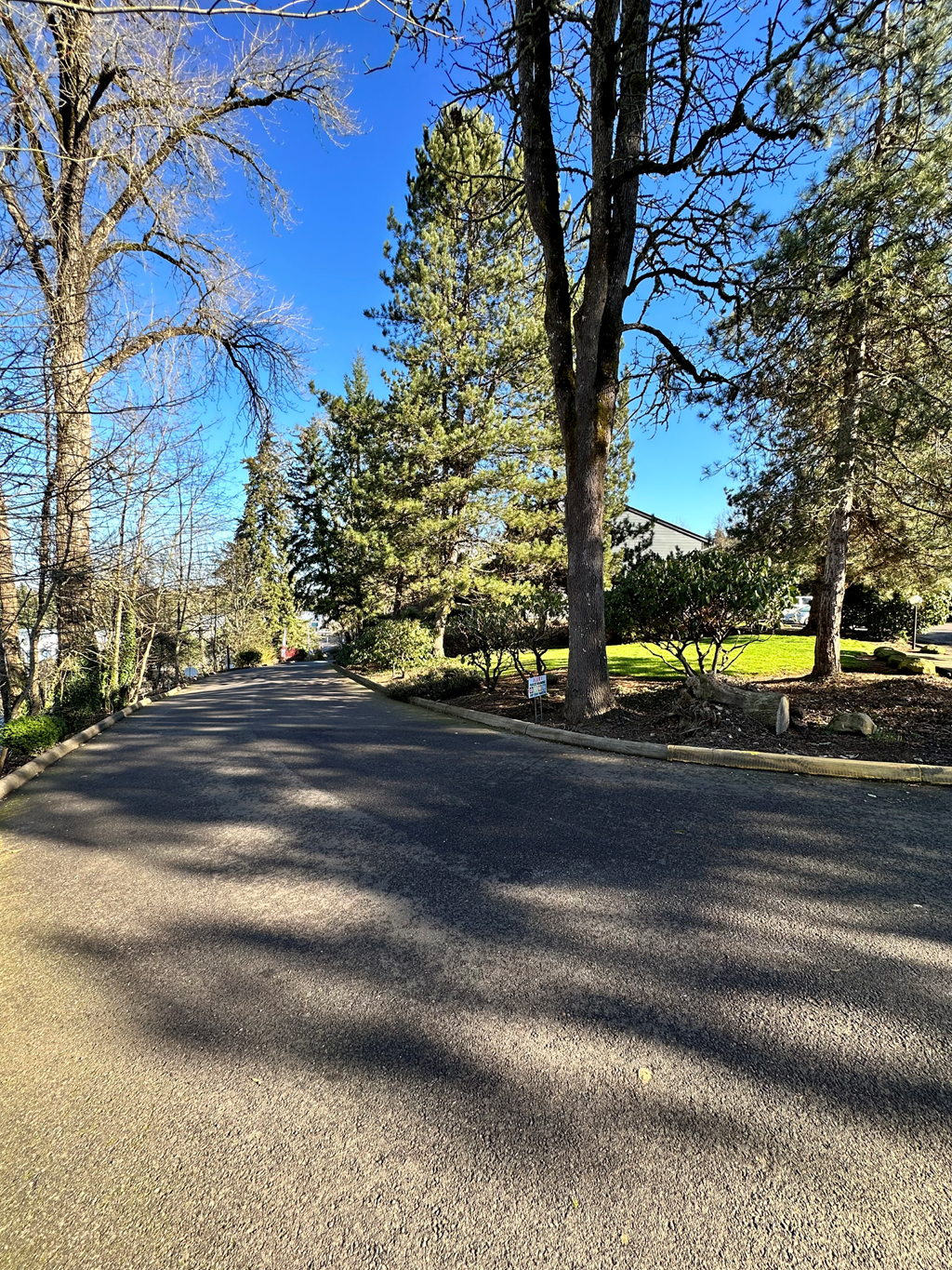 a street with trees on the side of a road