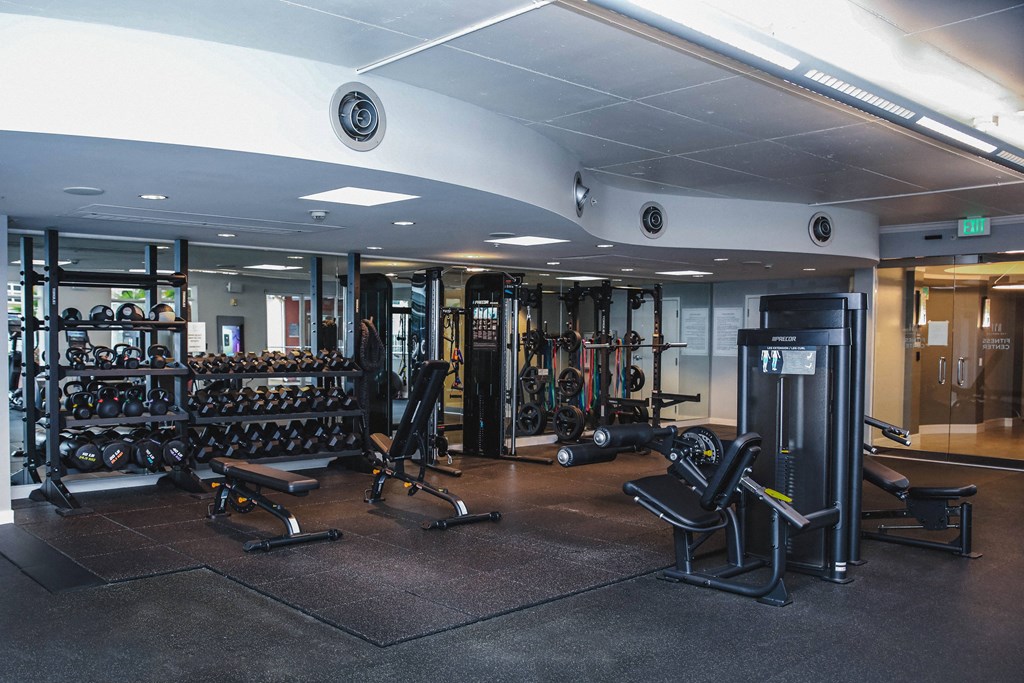 a workout room with weights and cardio equipment in a gym on a cruise ship