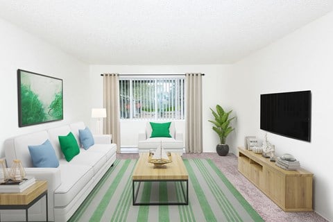 a living room with a white couch and a green and white rug