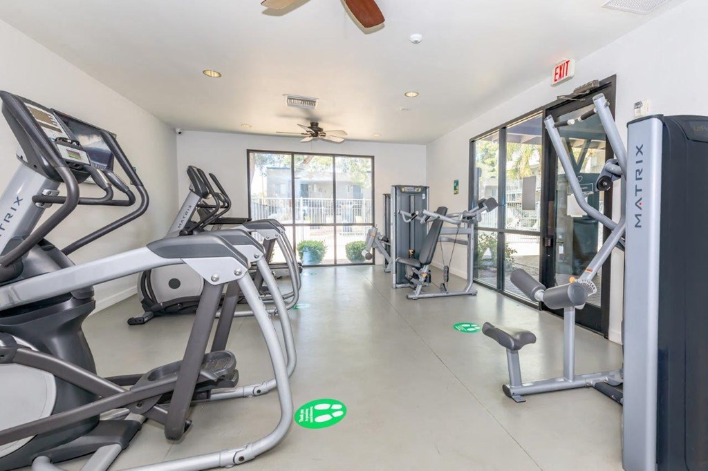 A gym with treadmills, elliptical machines, and a weight machine.