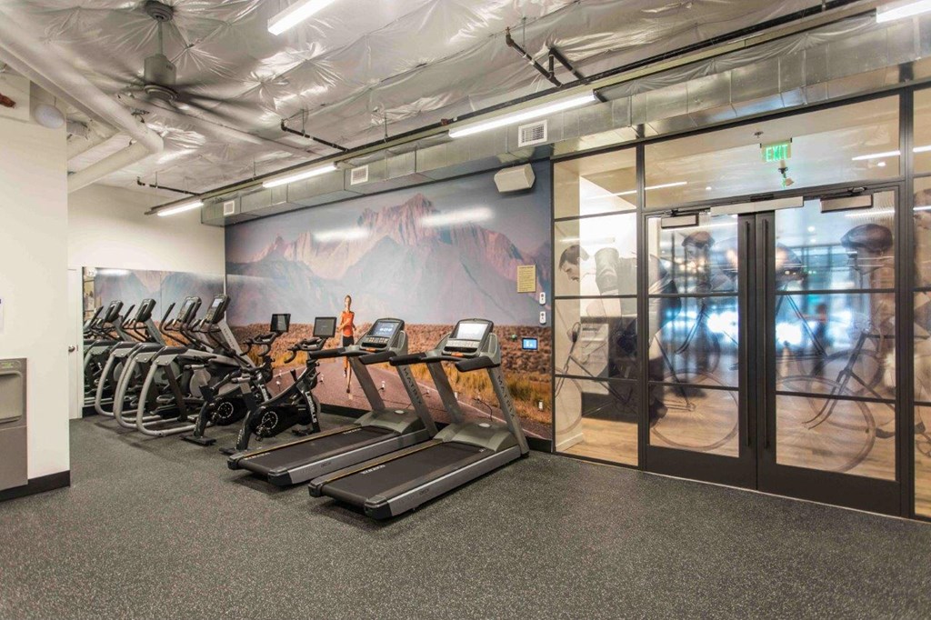 230 Ash Apartments Fitness Center