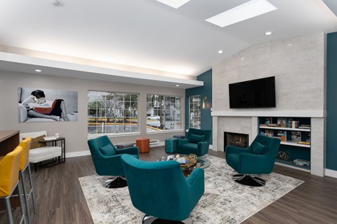 Novela Apartments Clubroom Seating Area and Television