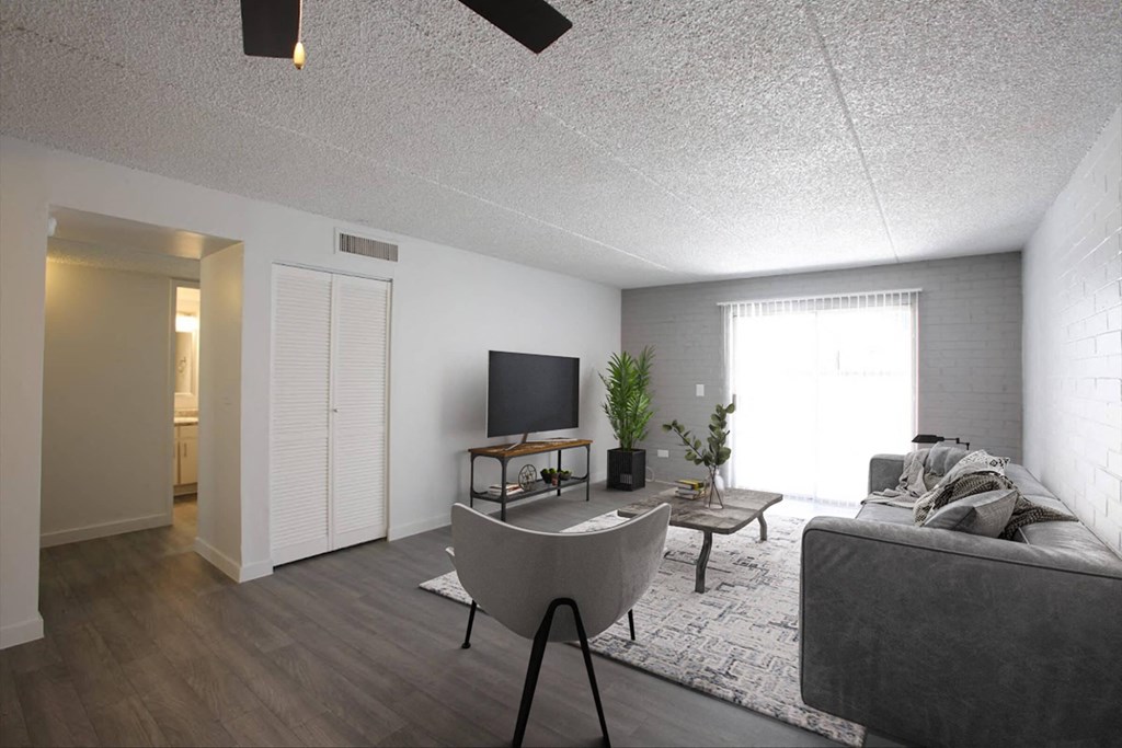 A living room with a grey couch, a television, and a plant.