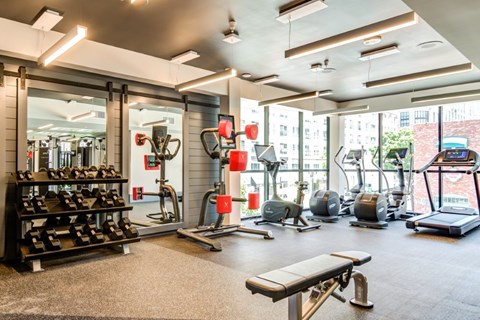 A gym with a variety of equipment including weights, a bench, and a treadmill.