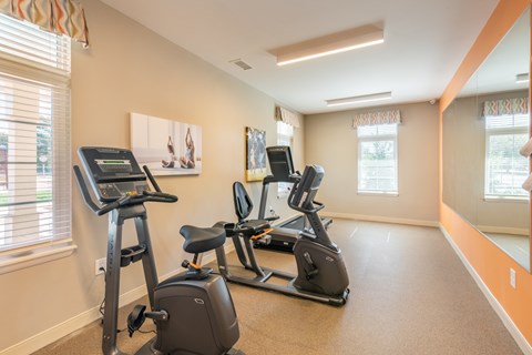 A room with exercise equipment and a painting on the wall.