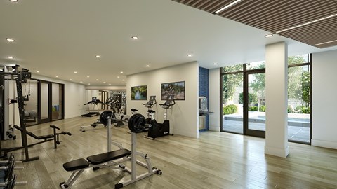 A gym with a variety of equipment including weights and cardio machines.