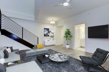 1255 22nd Street NW Studio-4 Beds Apartment for Rent - Photo Gallery 5