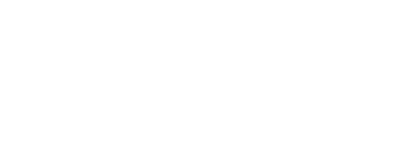 View at Blossom Hill logo