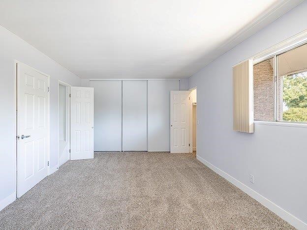 A room with white walls and a carpeted floor with a window on the right side.