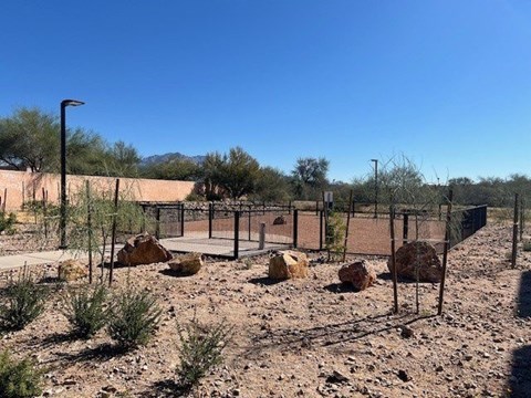 A fenced area with rocks and sparse vegetation.