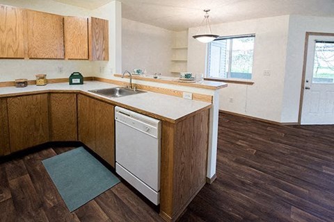a kitchen with a dishwasher and a sink in it