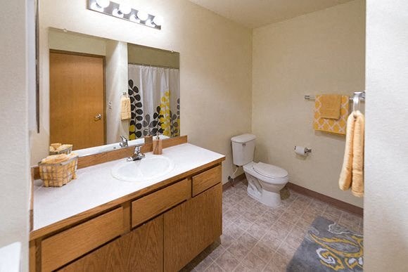 a bathroom with a toilet and a sink and a mirror