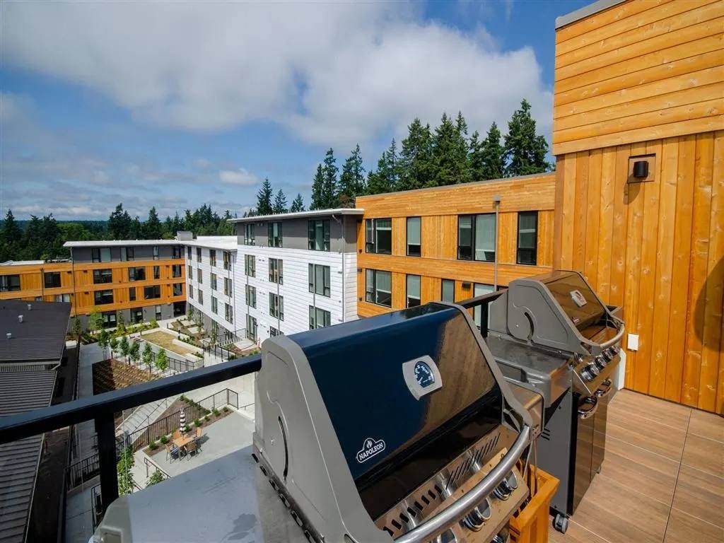 Blis Apartments Patio with BBQ Grills