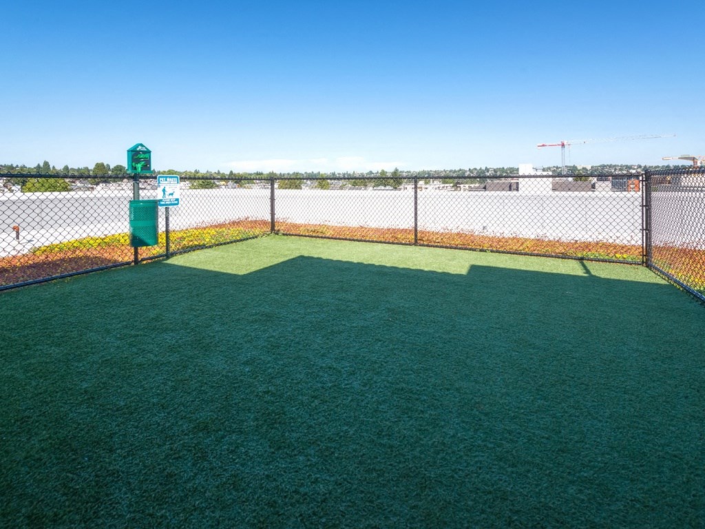 a fenced in batting cage with green turf and a scoreboard at Wilcox, Seattle, Washington, 98107