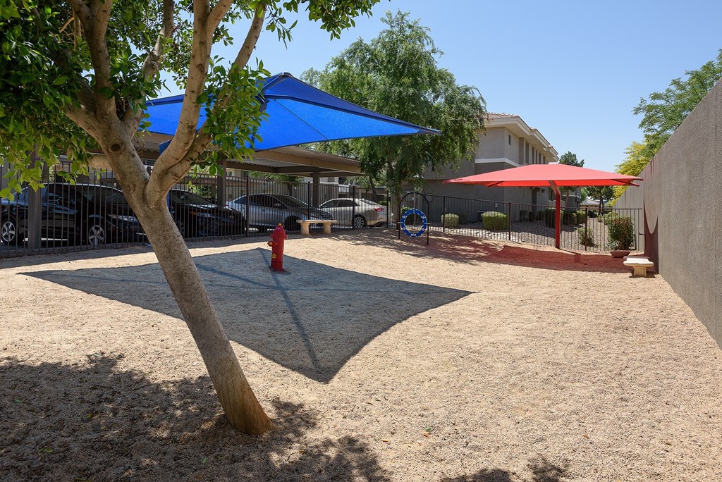 a tree casts a shadow on the ground in a courtyard
