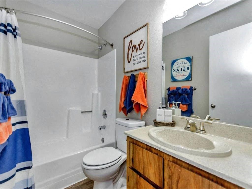 a bathroom with a sink and a toilet and a shower