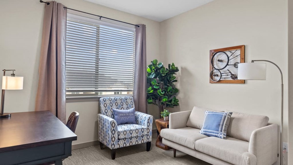 A living room with a patterned armchair and a sofa with a blue pillow.