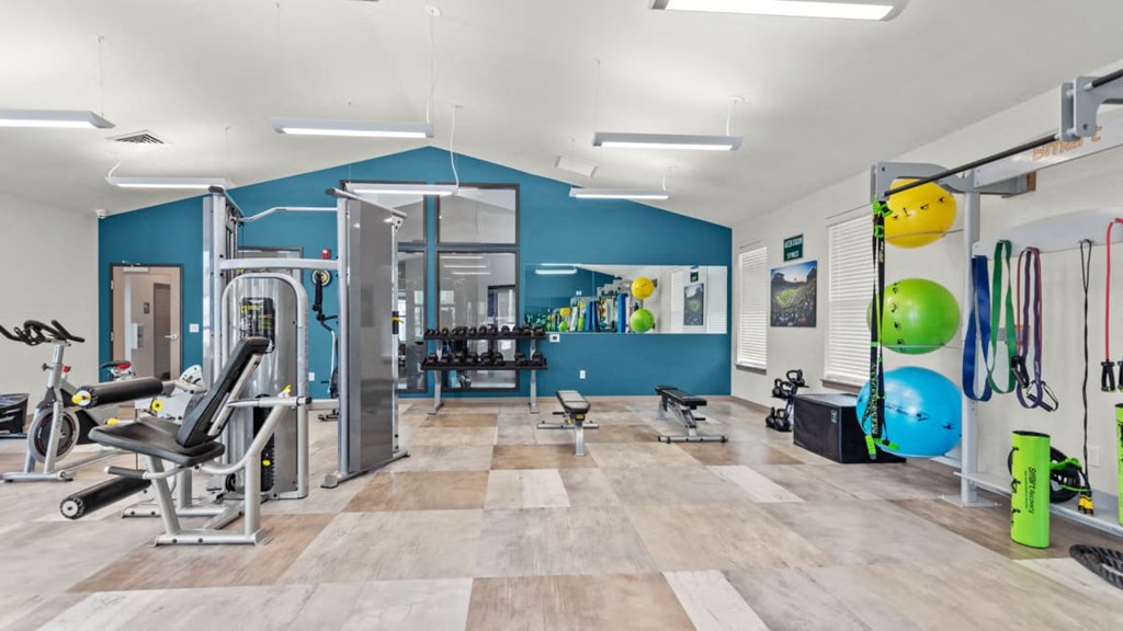 A gym with a variety of equipment including a squat rack, a bench press, and a treadmill.