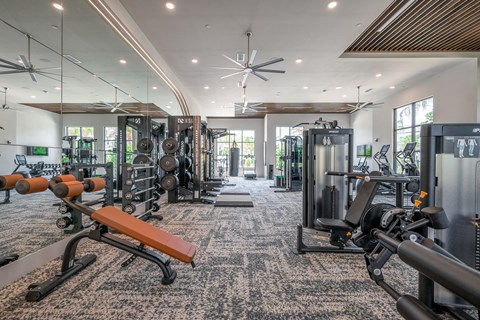 A gym with a variety of equipment including weights and machines.
