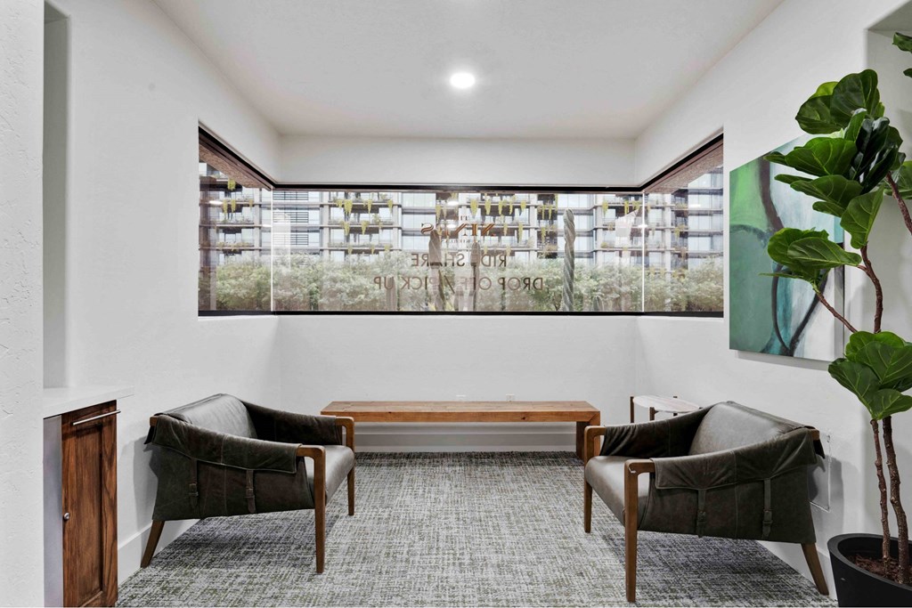 A room with a grey carpet and a green plant.