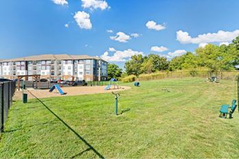 the preserve at ballantyne commons dog park