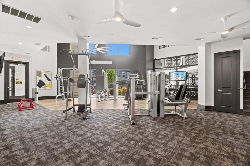 A gym with a variety of equipment including treadmills, weights, and a squat rack.