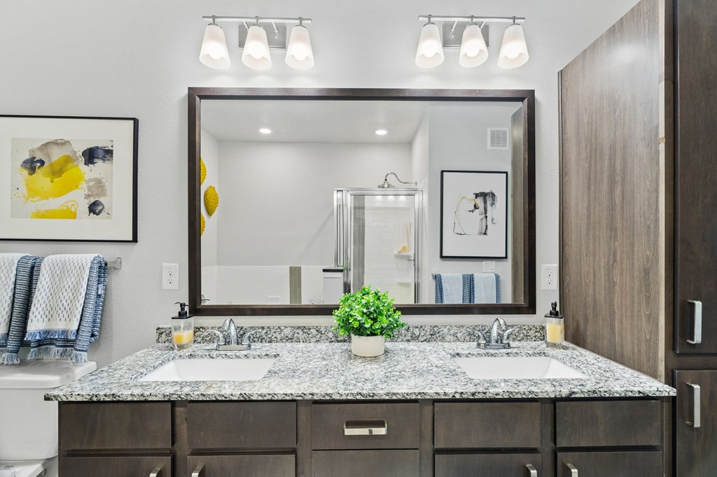 A bathroom with a large mirror and a plant on the counter.