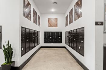 A long hallway with a plant on the left and a row of mailboxes on the right.