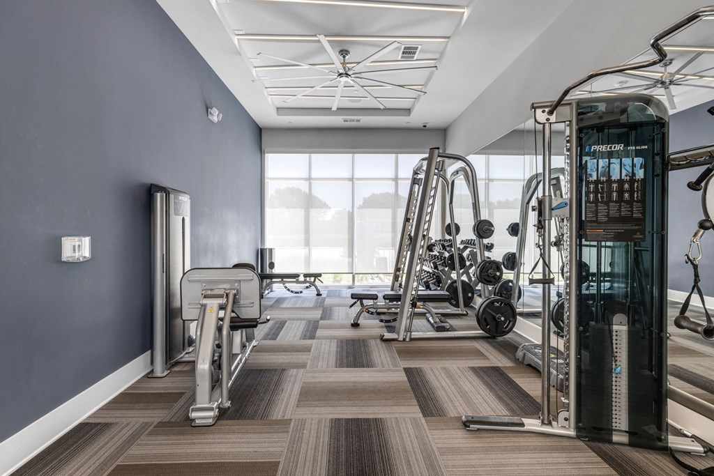 A gym with a variety of equipment including a treadmill, weights, and a bench press.